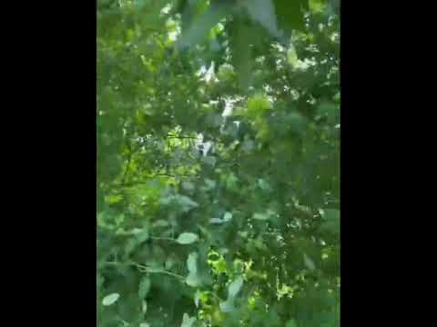 ▪️Se Vende Terreno 📐 1,080.42 Vrs² 📍Masaya Nindirí 💰 30,000 Negociable 📲 (505) 8628-9584 / 7527-0278