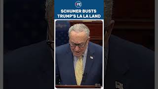 What Planet Is He On?' Schumer in No Mood to Spare Trump Over 'Disastrous' US Economy