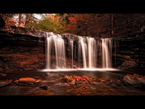Tadeusz Nalepa - Zerwany film