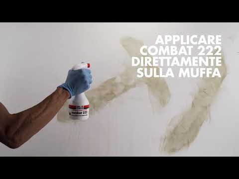 Come eliminare muffe da muri interni velocemente: guida all’uso Combat 222 Combat 333 Superconfort
