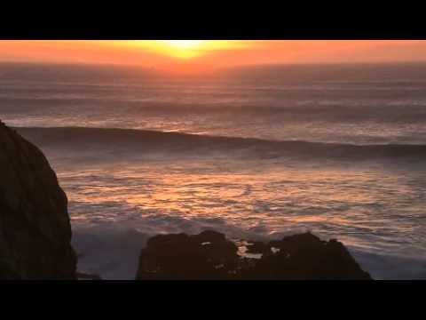 Sting Medley Fragile,Shape of my heart