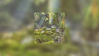 Cover art for Bad Habit