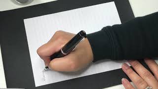 Pilot Falcon SEF