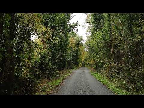 Random Longford topography