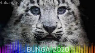 Download lagu Dj Tarek Ses Semongko 2020 mp3