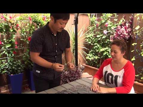 Frozen In Time High Tech Version by Masuda / SEO MAGIC