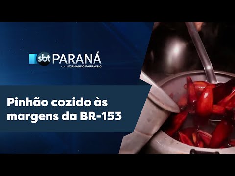 Pinhão cozido às margens da BR-153 - SBT Paraná (14/05/24)