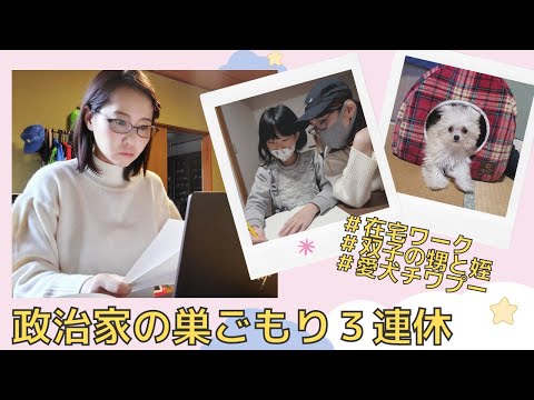 国際関係学科 政治家の巣ごもり三連休