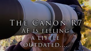 The Canon R7 AF feels a little dated compared to newer bodies.Thiis is why the R3 is my main rig.