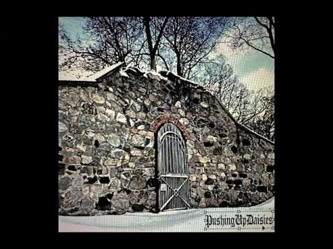 Bones & Deergod–Lasso/ lyric video