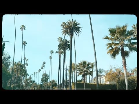 2000Baby - Cream (Official Music Video) [Dir. By: @dopeitszu]