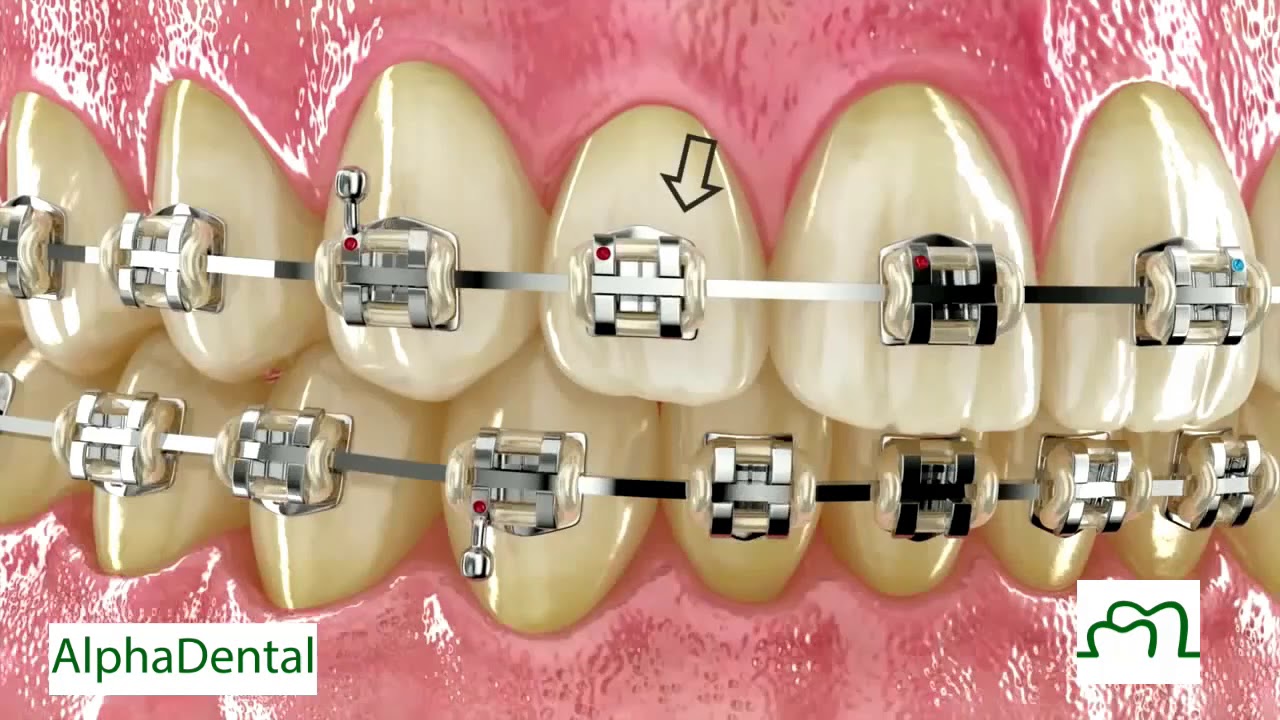Pablo Gutiérrez López-8
