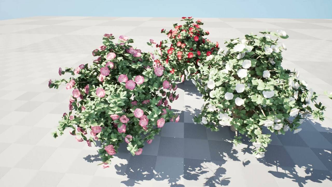 3D Camellia Flower Bush - Realistische elegantie voor uw ontwerpen 3D Model