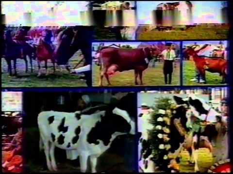 Intervalo Malhação - Porto Alegre/RS (12/05/1999)