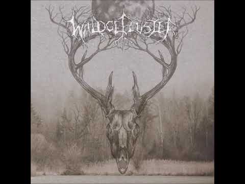 Waldgeflüster - Mondscheinsonaten (Full Album)