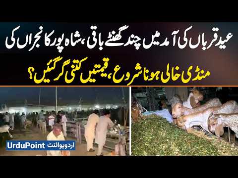 Lahore: Hours Before Eid, Shahpur Kanjraan Market Empties As Sacrificial Animal Prices Crash