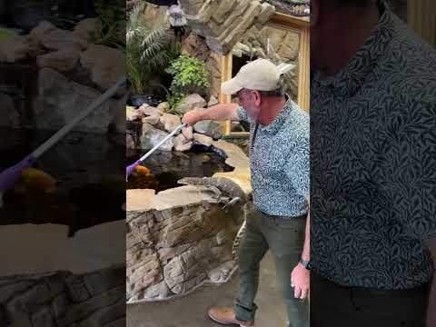 Monitor Lizard Handling: Essential Care & Husbandry Tips