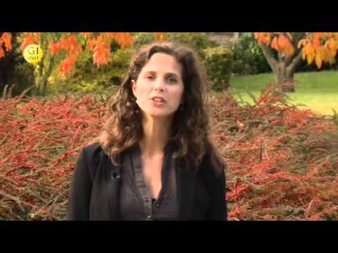 comment economiser sur une construction neuve