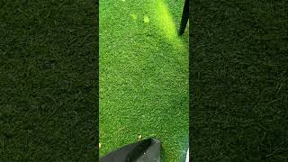 Toda vida é preciosa❤️💕☺️! #love #bomdia #natureza #goodmorning #amor