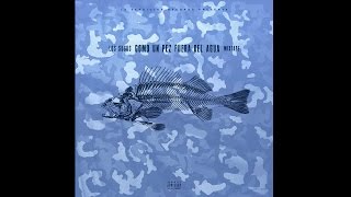Los Sugus - Como un pez fuera del agua - 2 Veneno feat Yung Beef