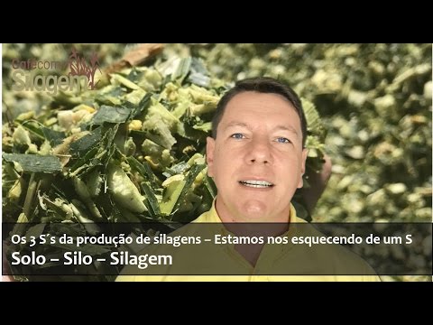 La codificazione da alcool in Pskov chudsky Figli dellorfano e lalcolismo