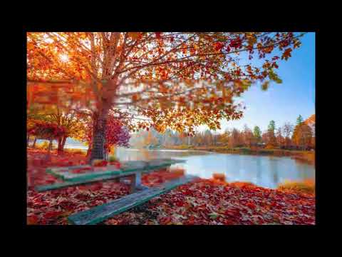 Ansambel Günf- Punab kaskede kuld