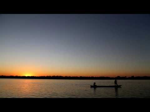 Abraham Hicks ~ How do animals feel about their deaths