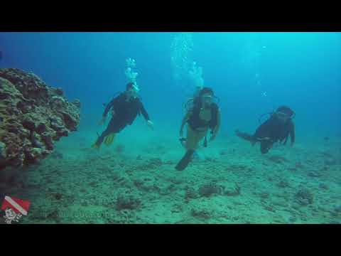 Honolulu SCUBA briefing and surface skills practice near Waikiki