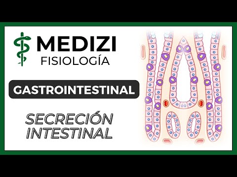 Class 52 Gastrointestinal Physiology - Intestinal Secretion (IG:@doctor.paiva)