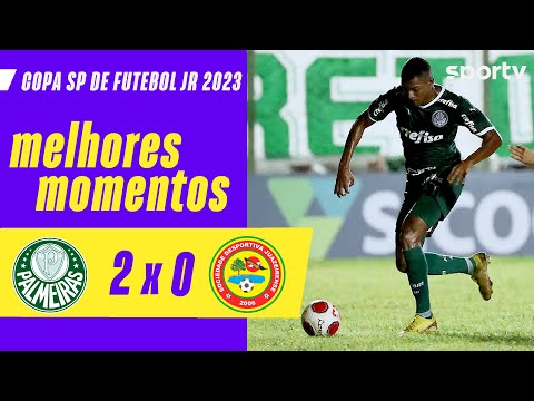 Gols e lances de Palmeiras x Juazeirense