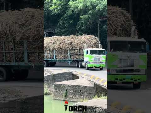 #jamaicaeastsidetruckers