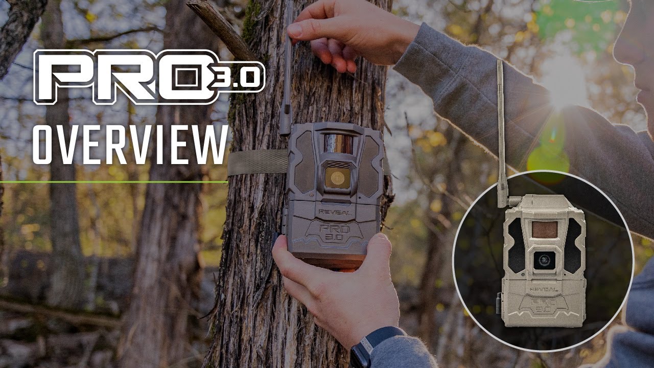 Experience the Full Service Abilities of CFS