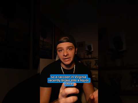 Raccoon accidentally got drunk 😭