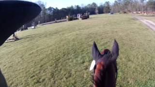 March Poplar HT 2017 - Training level XC helmet cam