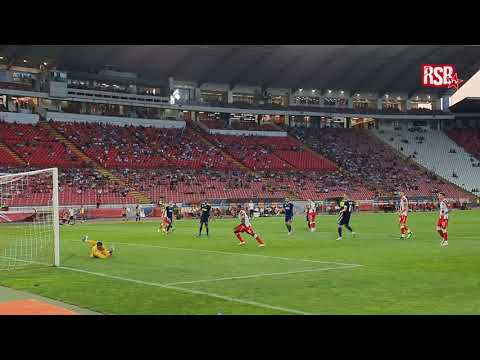 Crvena zvezda 1:1 TSC / Nenad Krstičić