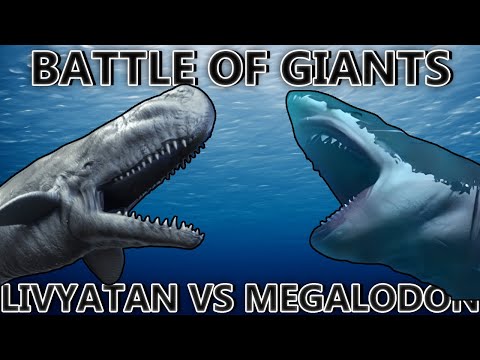 Megalodon vs. Livyatan - Who Will Rule the Ocean?