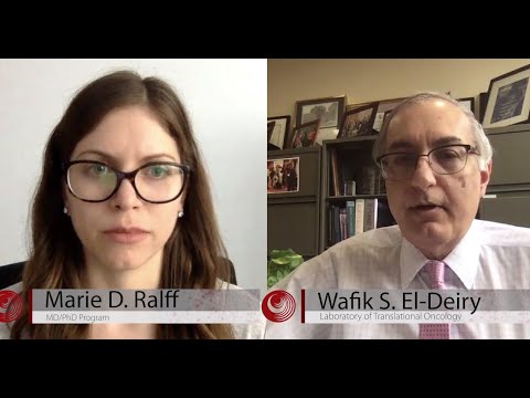 interview - Interview with Dr. Wafik S. El-Deiry from the Cancer Center at Brown University and Warren Alpert Medical School, and Marie D. Ralff from Temple University