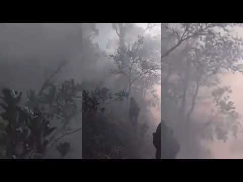 Se incendia el bosque en Mazatlán Villa de Flores