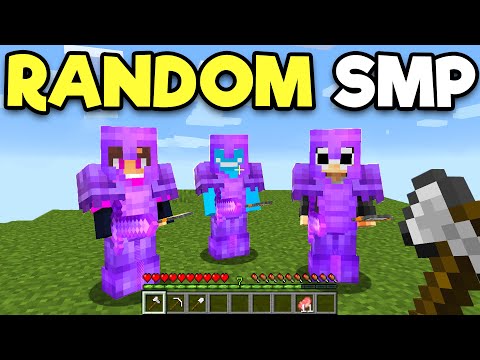 I Joined a RANDOM Minecraft SMP...