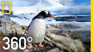 Download the video "360° Antarctica - Journey Through The Ice | National Geographic"