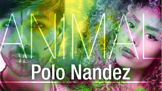 Video Animal de Polo Nández