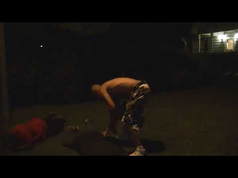 Boxer T gets his gift