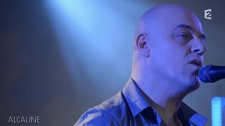Alcaline, le Mag : Dominique A - Au Revoir Mon Amour en live