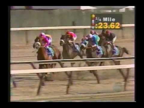 1994 Wood Memorial Stakes