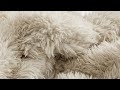 Lion Mane Coma Inducer Oversized Comforter Creamy White