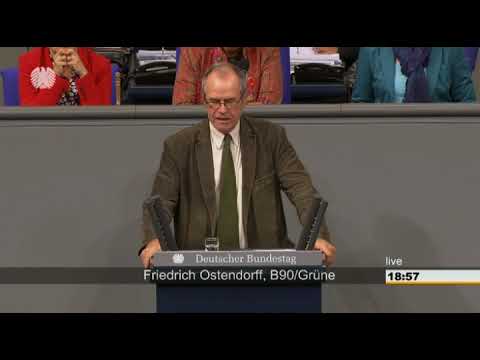 Friedrich Ostendorff: Änderung des SGB XII -Sozialhilfe- [Bundestag 15.10.2015]