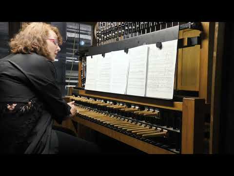 De Vlaamse Leeuw (Karel Miry) carillon: Iryna Riabchun.