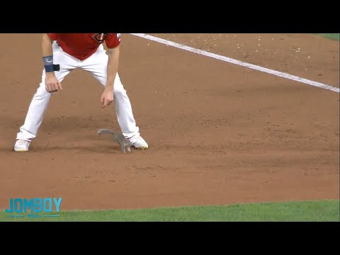 The Twins Released the Rally Squirrel to blow the game open in the 5th, a breakdown
