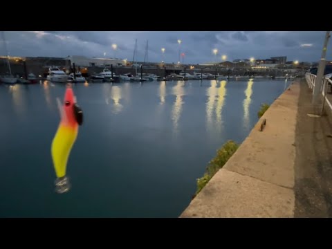 CATCH MORE SQUID | HEAVY SQUID JIGGING | BEST SQUID JIGS FOR NIGHT SQUID FISHING | EGI UK TIPS 