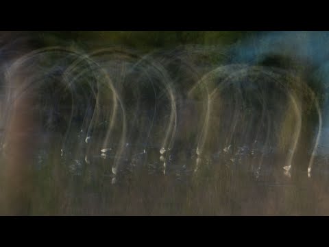 Ungeplante Motive und Kreativität